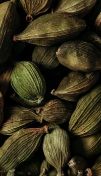 Screen_Shot_2021-08-18_at_11.10.25_AM