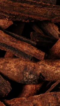 Screen_Shot_2021-08-18_at_12.43.56_PM