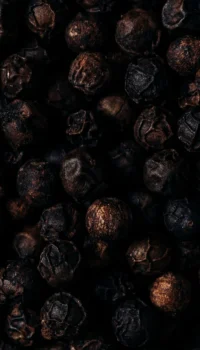 Screen_Shot_2021-08-18_at_12.44.40_PM